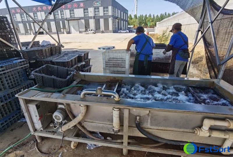 images/1752567320106Sweet potato washing equipment.jpg